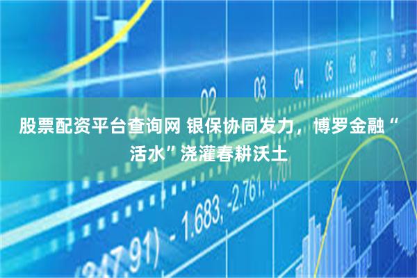 股票配资平台查询网 银保协同发力，博罗金融“活水”浇灌春耕沃土