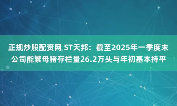 正规炒股配资网 ST天邦：截至2025年一季度末公司能繁母猪存栏量26.2万头与年初基本持平