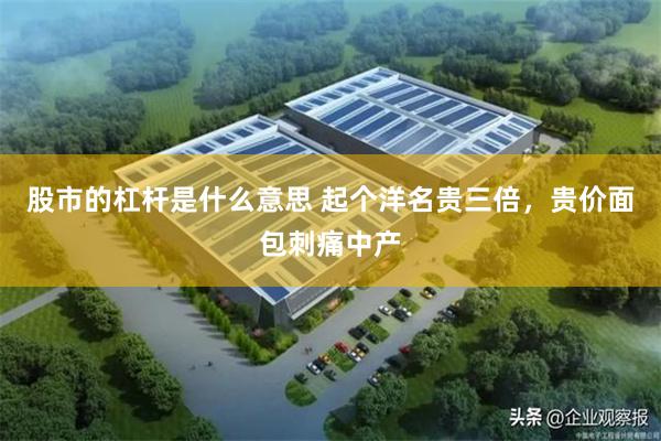股市的杠杆是什么意思 起个洋名贵三倍，贵价面包刺痛中产