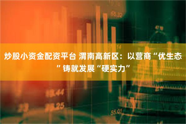 炒股小资金配资平台 渭南高新区：以营商“优生态”铸就发展“硬实力”