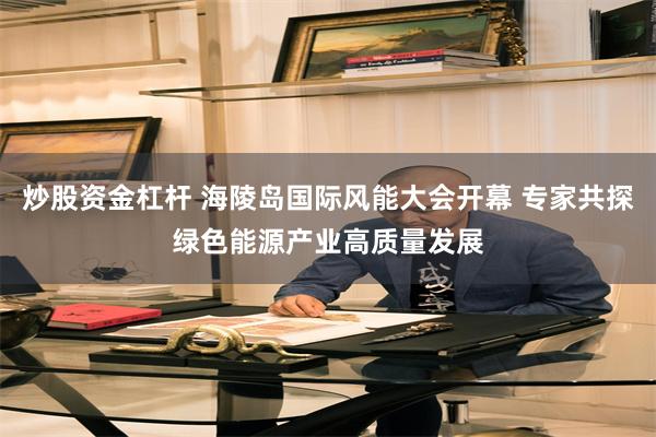 炒股资金杠杆 海陵岛国际风能大会开幕 专家共探绿色能源产业高质量发展