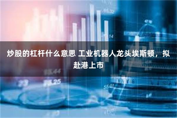 炒股的杠杆什么意思 工业机器人龙头埃斯顿，拟赴港上市