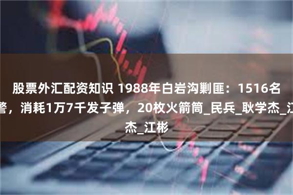 股票外汇配资知识 1988年白岩沟剿匪：1516名军警，消耗1万7千发子弹，20枚火箭筒_民兵_耿学杰_江彬